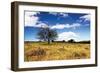 Big Meadow 1-Alan Hausenflock-Framed Photographic Print
