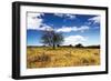 Big Meadow 1-Alan Hausenflock-Framed Photographic Print