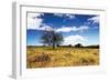 Big Meadow 1-Alan Hausenflock-Framed Photographic Print