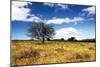 Big Meadow 1-Alan Hausenflock-Mounted Photographic Print