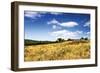 Big Meadow 2-Alan Hausenflock-Framed Photographic Print