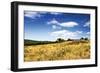 Big Meadow 2-Alan Hausenflock-Framed Photographic Print