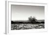 Big Meadow 3-Alan Hausenflock-Framed Photographic Print