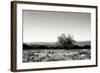 Big Meadow 3-Alan Hausenflock-Framed Photographic Print