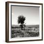 Big Meadow Square IV-Alan Hausenflock-Framed Photographic Print