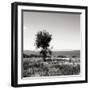 Big Meadow Square IV-Alan Hausenflock-Framed Photographic Print