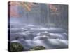 Big Moose River Rapids in Fall, Adirondacks, New York, USA-Nancy Rotenberg-Stretched Canvas