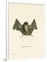 Big Naked-Backed Bat-null-Framed Premium Giclee Print
