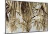 Big Palms-Edward Selkirk-Mounted Art Print