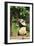 Big Panda-Friday-Framed Premium Photographic Print