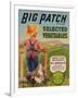 Big Patch Vegetable Label - Watsonville, CA-Lantern Press-Framed Art Print