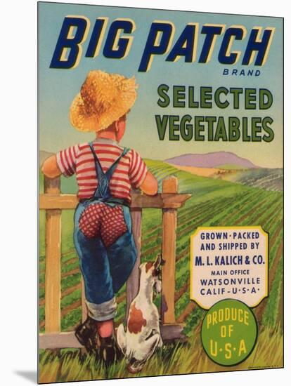 Big Patch Vegetable Label - Watsonville, CA-Lantern Press-Mounted Art Print