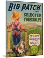 Big Patch Vegetable Label - Watsonville, CA-Lantern Press-Mounted Art Print