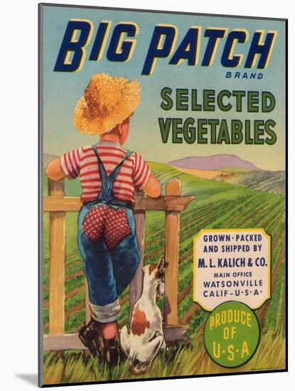 Big Patch Vegetable Label - Watsonville, CA-Lantern Press-Mounted Art Print