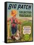 Big Patch Vegetable Label - Watsonville, CA-Lantern Press-Framed Stretched Canvas