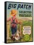 Big Patch Vegetable Label - Watsonville, CA-Lantern Press-Framed Stretched Canvas