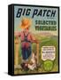 Big Patch Vegetable Label - Watsonville, CA-Lantern Press-Framed Stretched Canvas