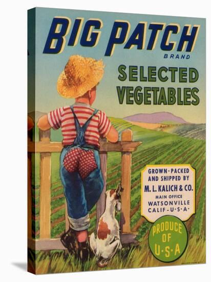 Big Patch Vegetable Label - Watsonville, CA-Lantern Press-Stretched Canvas