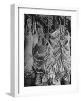 Big Pieces of Meat Hanging in the Wholesaler's Shop-Al Fenn-Framed Photographic Print