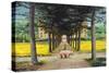 Big Pig, Pistoia, Tuscany-Trevor Neal-Stretched Canvas