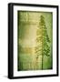 Big Piney-LightBoxJournal-Framed Premium Giclee Print