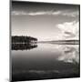 Big Pond-Andrew Ren-Mounted Giclee Print