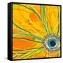 Big Pop Floral I-Ricki Mountain-Framed Stretched Canvas