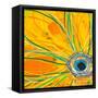 Big Pop Floral I-Ricki Mountain-Framed Stretched Canvas