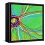 Big Pop Floral IV-Ricki Mountain-Framed Stretched Canvas