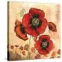 Big Red Poppies I-Gregory Gorham-Stretched Canvas
