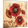 Big Red Poppies I-Gregory Gorham-Mounted Photographic Print