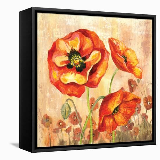Big Red Poppies II-Gregory Gorham-Framed Stretched Canvas