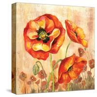 Big Red Poppies II-Gregory Gorham-Stretched Canvas