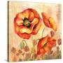 Big Red Poppies II-Gregory Gorham-Stretched Canvas