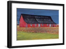 Big Red-Burney Lieberman-Framed Giclee Print