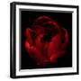 Big Red-Magda Indigo-Framed Photographic Print