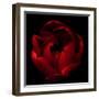 Big Red-Magda Indigo-Framed Premium Photographic Print