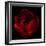 Big Red-Magda Indigo-Framed Premium Photographic Print