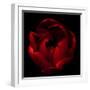 Big Red-Magda Indigo-Framed Premium Photographic Print