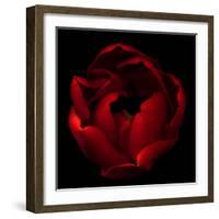 Big Red-Magda Indigo-Framed Photographic Print