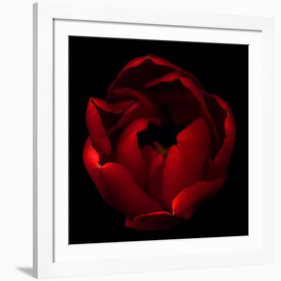 Big Red-Magda Indigo-Framed Photographic Print