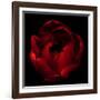 Big Red-Magda Indigo-Framed Photographic Print