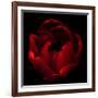 Big Red-Magda Indigo-Framed Photographic Print