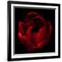 Big Red-Magda Indigo-Framed Photographic Print