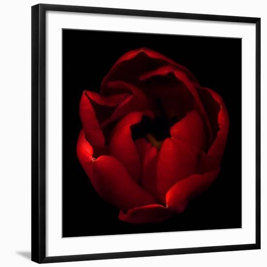 Big Red-Magda Indigo-Framed Giclee Print