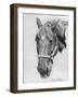 Big Red-Rusty Frentner-Framed Giclee Print