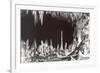 Big Room, Carlsbad Caverns, New Mexico-null-Framed Premium Giclee Print