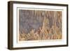 Big Room, Carlsbad Caverns, New Mexico-null-Framed Premium Giclee Print