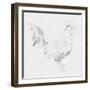 Big Rooster Sketch I-Jacob Green-Framed Art Print