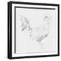 Big Rooster Sketch I-Jacob Green-Framed Art Print